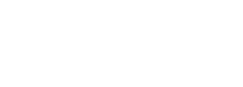 Microsoft gold partner